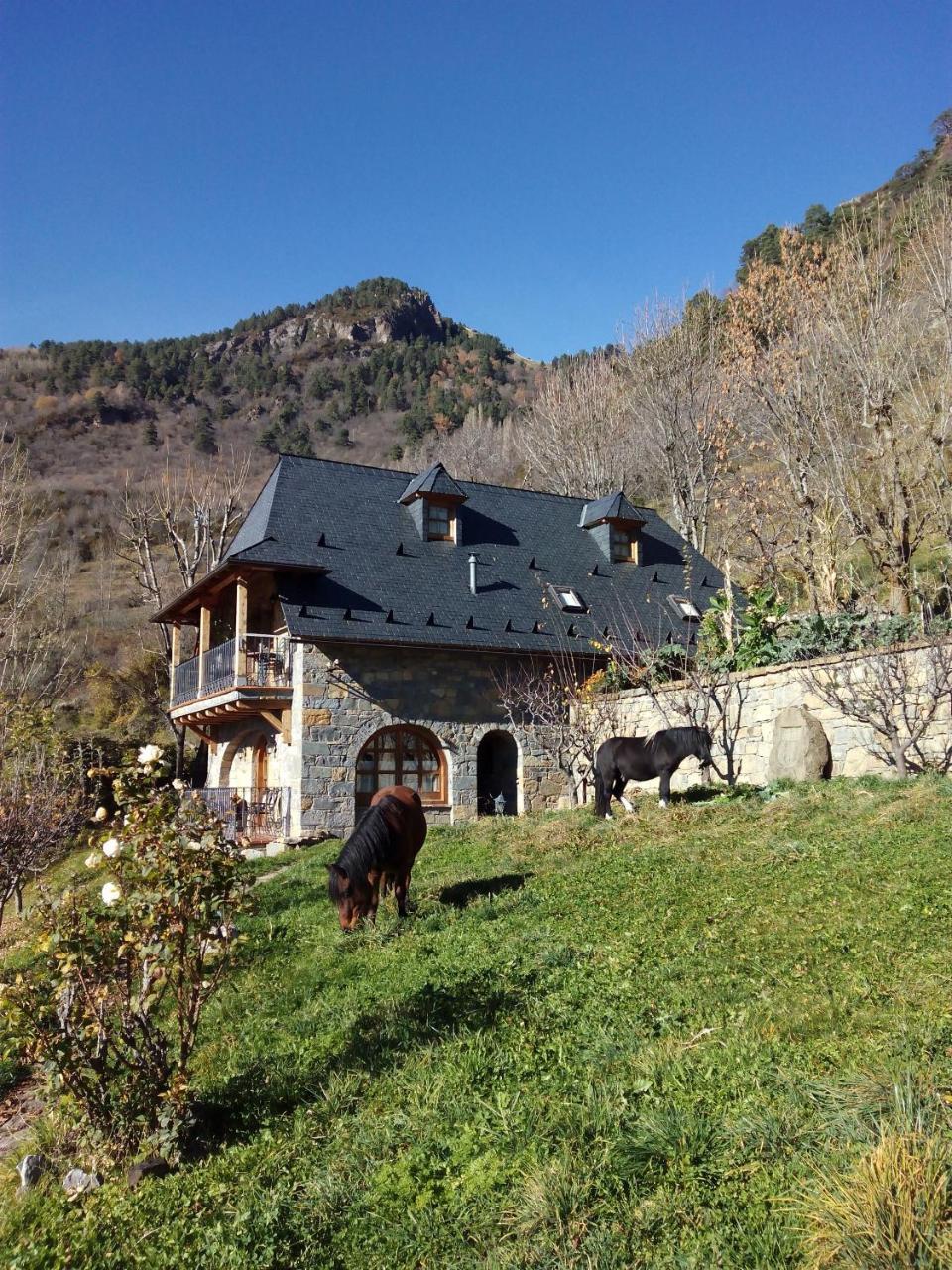 Casa Rural Fontamil Gistain Exterior photo